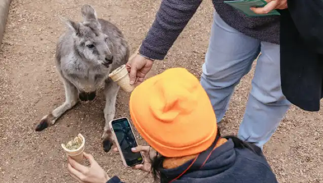 藍山小團觀光、野生動物、瀑布