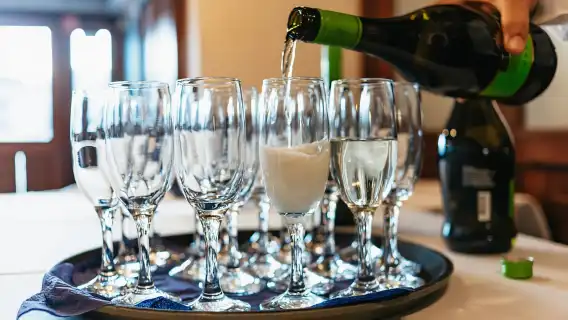 Budapest: Danube Cruise with Hungarian Dinner and Live Music