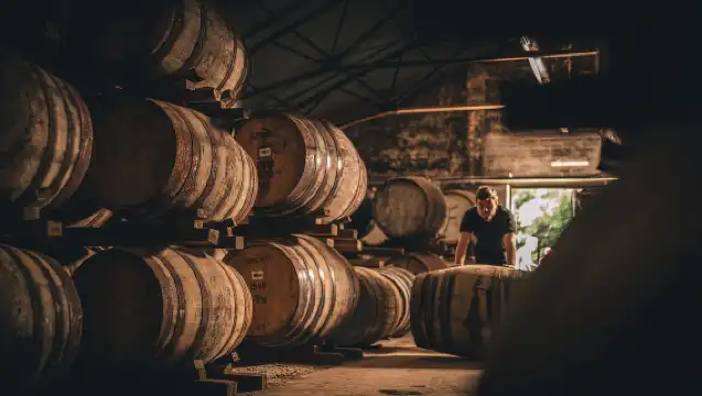 Edinburgh: Ultimate Whisky Experience