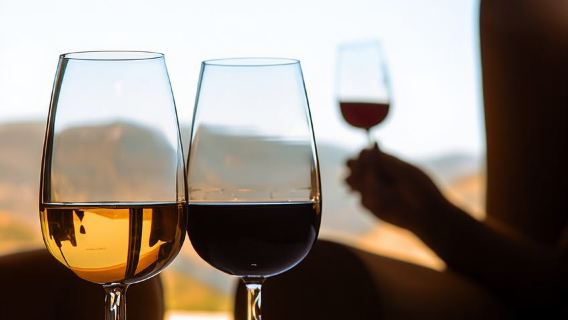 Porto: Lawatan Bot Sehari Penuh, Kereta Api dan Makan Tengahari Lembah Douro