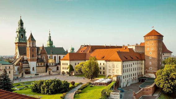 Desde Varsovia: Visita guiada a Auschwitz-Birkenau y Cracovia