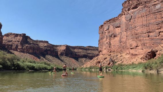 Moab: Lawatan Paddleboard Stand-Up Air Rata di Sungai Colorado