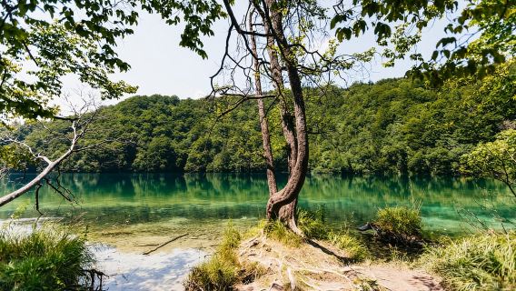 Desde Split: Visita guiada a los lagos de Plitvice con entradas