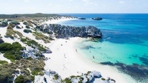 Rottnest Island Ferry + Guided Bus Day Tour [Optional Departure from Perth/Fremantle]