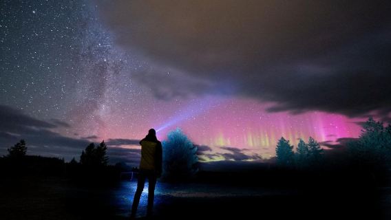 【プロガイド/豪華望遠鏡】ニュージーランド・テカポ湖カメレオン星空観賞90分体験