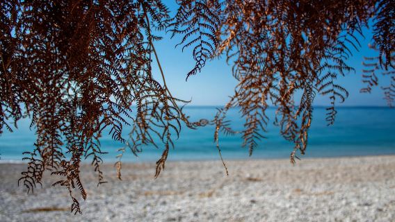 Sarandë: Chuyến tham quan có hướng dẫn của Qeparo và Himara