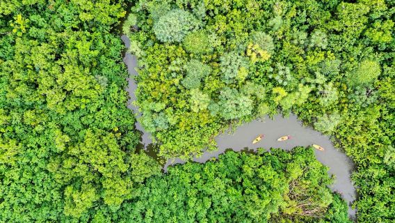 Oahu: Kahana Rainforest River 4-Hour Kayak Rental