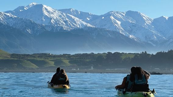 Опыт каякинга в Кайкоура, Южный остров Новой Зеландии [опционально на закате | выбор комплексных обедов/пакетов услуг]