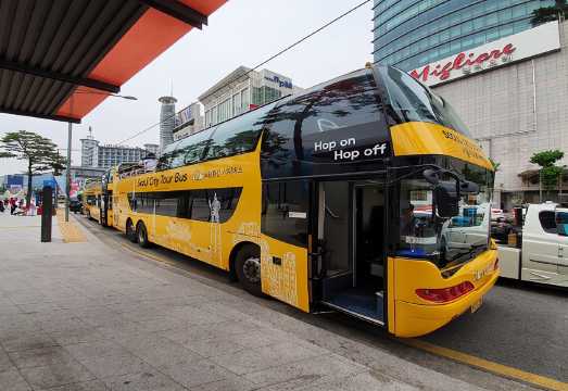 Seoul Heunginjimun Gate (Dongdaemun) city tour bus traditional culture route