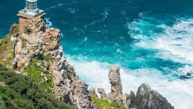 ケープ・ポイント & ペンギンとの出会いツアー ワンデーツアー【ケープタウン往復、英語ガイド】