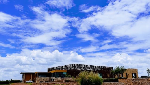 San Miguel de Allende: Local Vineyard Tour & Wine Tasting