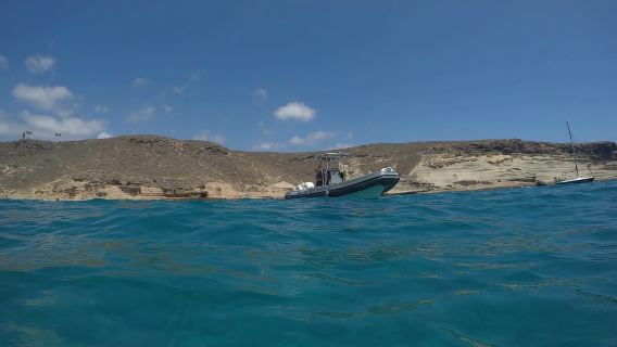 Tenerife: Underwater Lava Tongues Snorkel Excursion