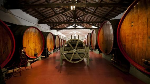 Modena: Tour Thưởng thức Rượu Lambrusco và Tham quan Hầm rượu