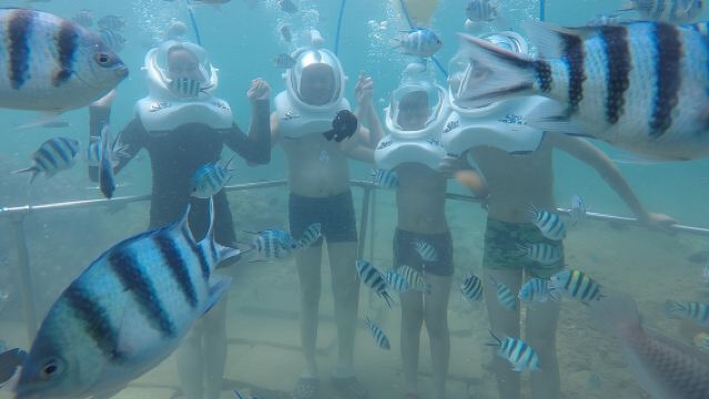 Crucero de día completo por las islas Cham desde Hoi An con excursión submarina