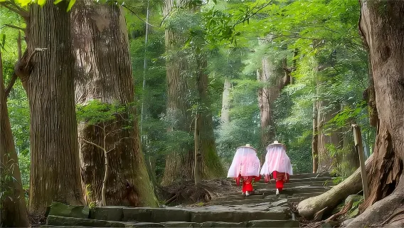 Japan Nagoya Kumano-Kodo Nakahechi Pilgrimage Route + Nachi Waterfall + Kumano Nachitaisha + Saigoku 33-Temple Kannon Sacred Pilgrimage No.1 - Nachisan Seiganto-ji Temple one-day tour