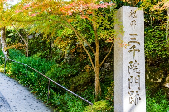 嵐山+嵯峨野觀光小火車+渡月橋+野宮神社一日遊【中文包車遊】