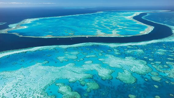 Airlie BeachTours