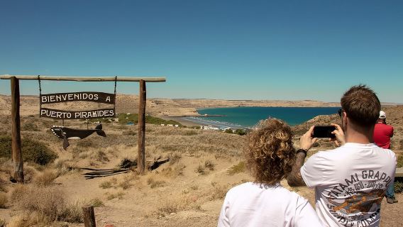 Hele dag Peninsula Valdes-ervaring - optioneel walvisspotten
