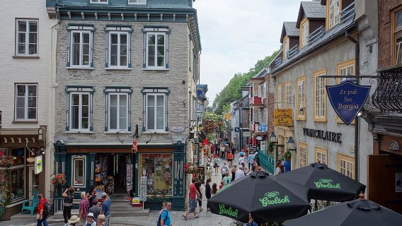 Montreal City Sightseeing Tour with Live Commentary