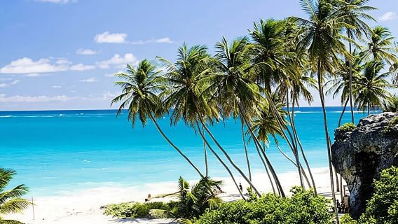 Barbados: tour di un giorno intero da costa a costa