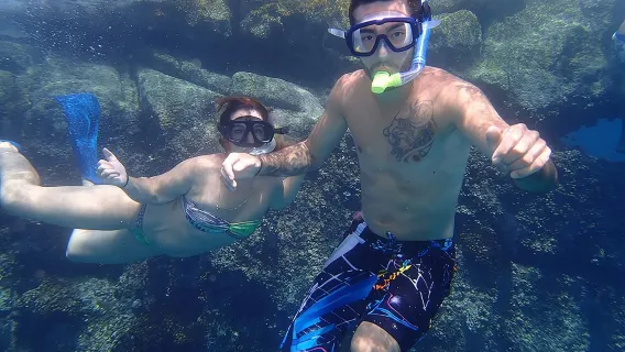 Schnorcheltour und Glasbodenbootfahrt in Cabo San Lucas