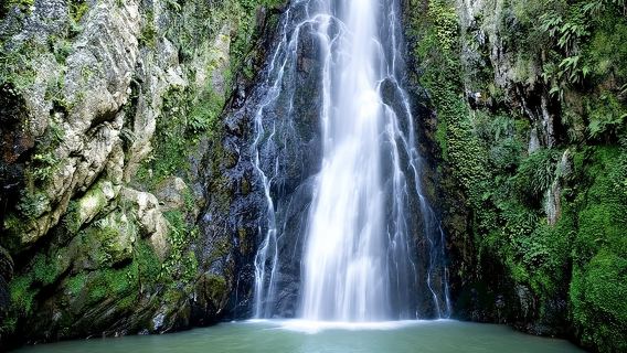 Lawatan Peribadi di Constanza Republik Dominican untuk 15 orang