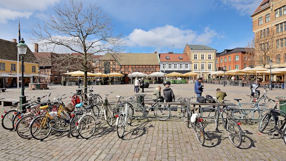Copenhagen to Malmö one-day tour