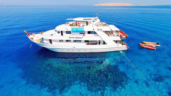Sharm El Sheikh Snorkeling Day Trip To White Island & Ras Mohammed By VIP Boat With Transfer & Lunch