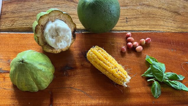 Farm to Table Cooking Class 