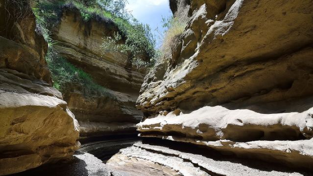 ヘルズ・ゲート国立公園とナイバシャ湖ボートツアーの少人数予算ツアー