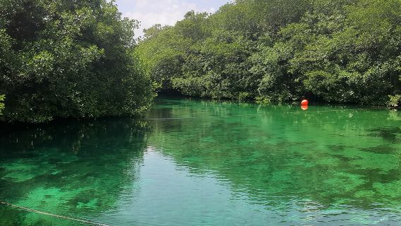 Private Cenotes tour