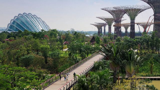 싱가포르 플라이어 포함 싱가포르 프라이빗 1일 하이라이트 투어
