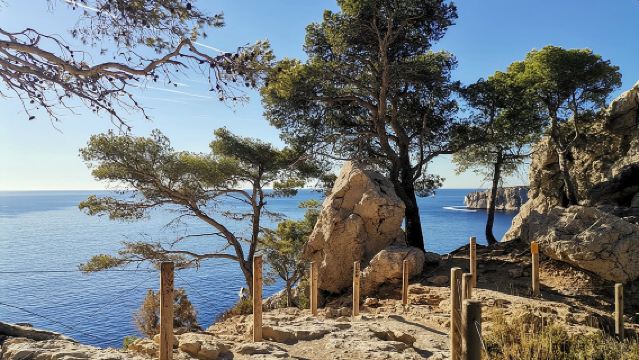 Hiking in the Calanques National park from Marseille