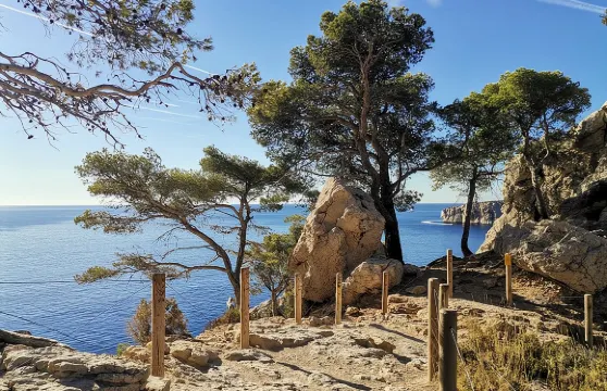 從馬賽出發前往卡朗格國家公園遠足