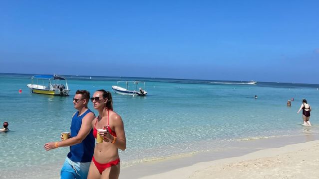 Roatan Monkeys & Sloths + Chocolate & Rum Tasting + Beach Break 