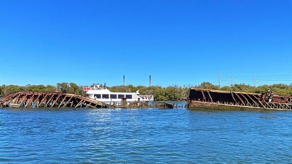 90 Minute Port River Dolphin & Ships Graveyard Cruise