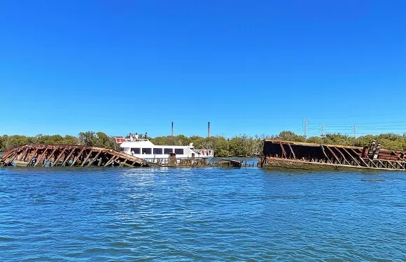 90分鐘港口河豚與沉船墓地郵輪之旅