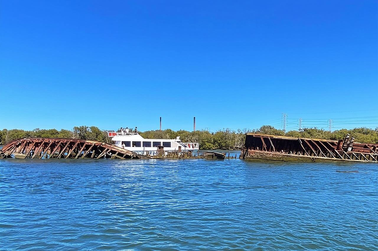 90 Minute Port River Dolphin & Ships Graveyard Cruise