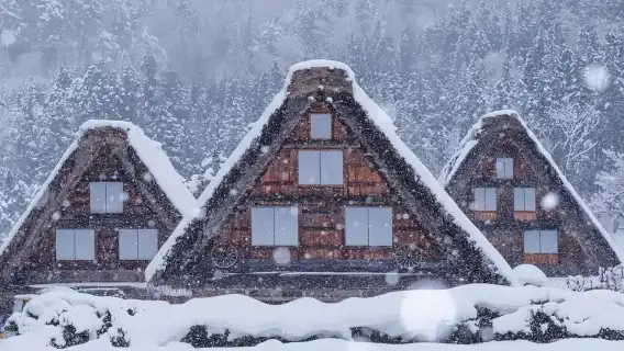 日本名古屋飛騨高地+白川郷ワンデーツアー|9人までの少人数ツアー選択可能