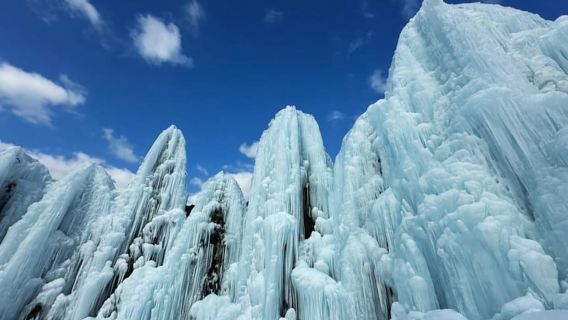 From Seoul: Romantic Winter Wonderland Tour