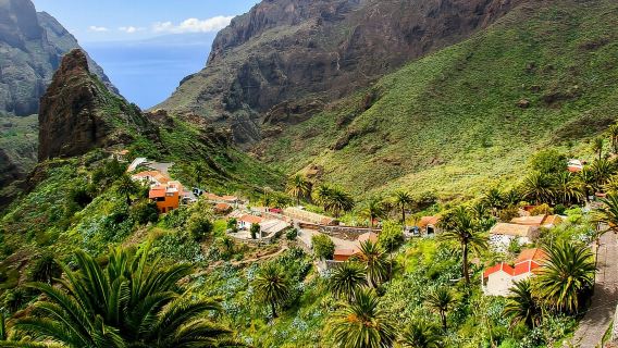 Tenerife: Hiking through Teno and the hamlet of Masca