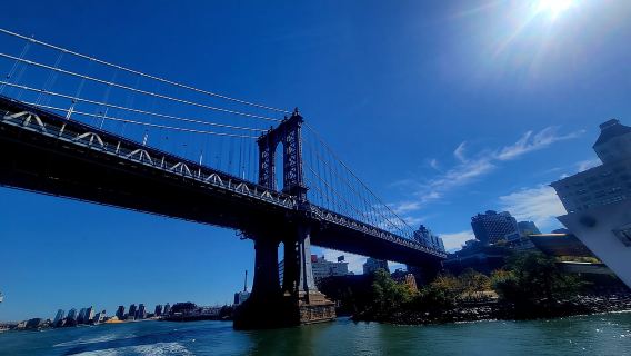 Visite guidée de Brooklyn Williamsburg et Dumbo en français