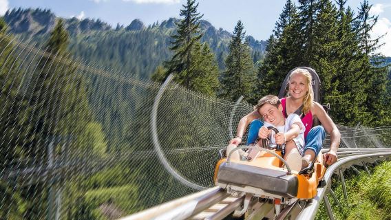 Munich: Private Neuschwanstein Castle & Alpine Coaster Tour