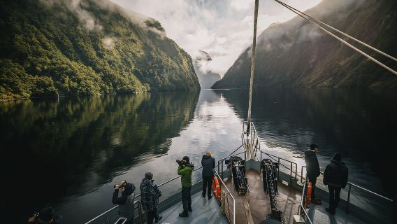 From Queenstown: Doubtful Sound Wilderness Day Trip