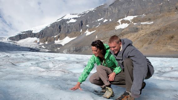 Jasper: Transfer to Banff/Lake Louise w/ Columbia Icefields