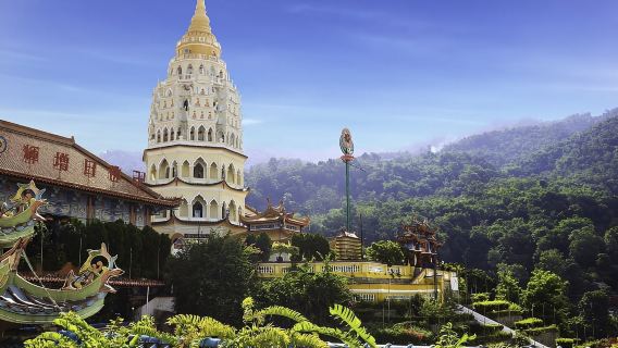 Private Penang City Tour with Kek Lok Si Temple