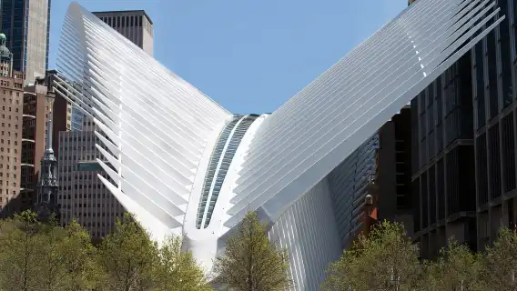 NYC: Ground Zero Walking Tour and 9/11 Museum Ticket