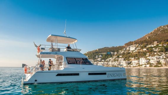 Cape Town: Chuyến du ngoạn bằng thuyền catamaran ven biển tuyệt đẹp kéo dài 1 giờ