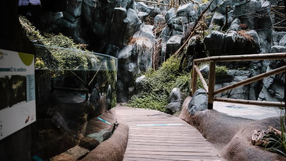 Entrada al Acuario Bioparc de Gijón