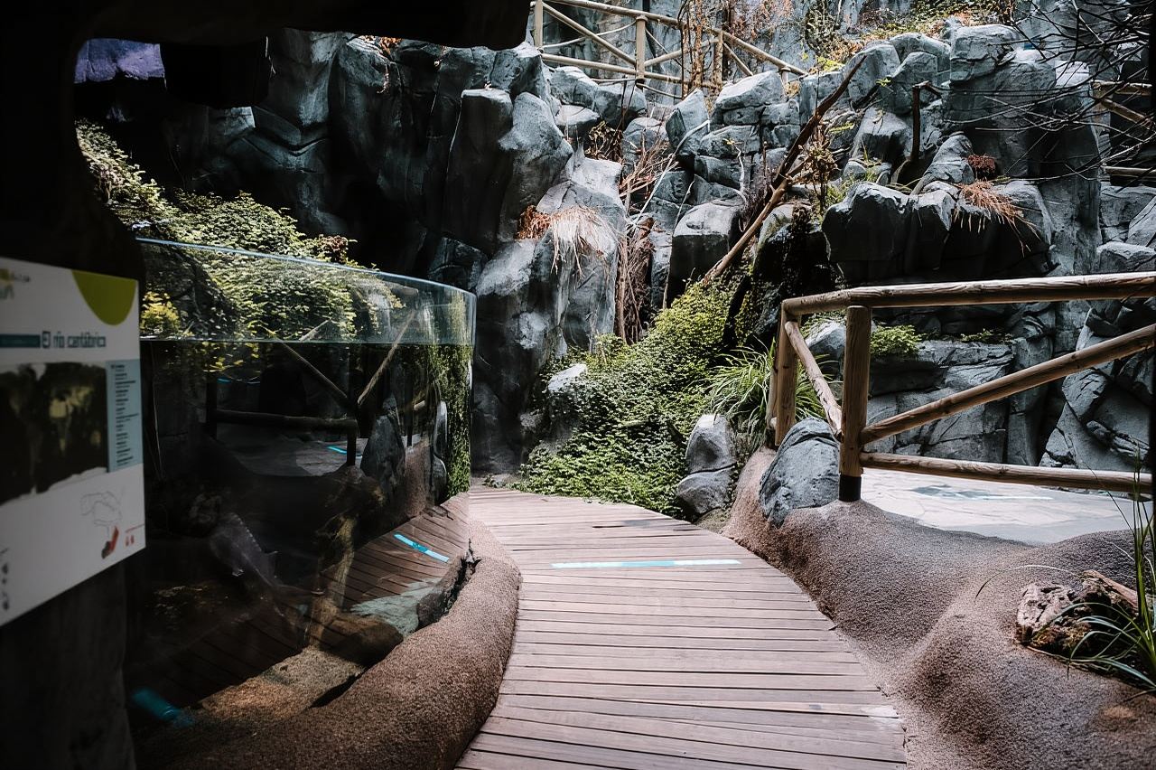 Biglietto d'ingresso al Bioparc Aquarium di Gijon